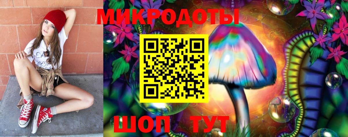 Ногинск  Псилоцибиновые грибы Psilocybine cubensis  Вход с VPN 