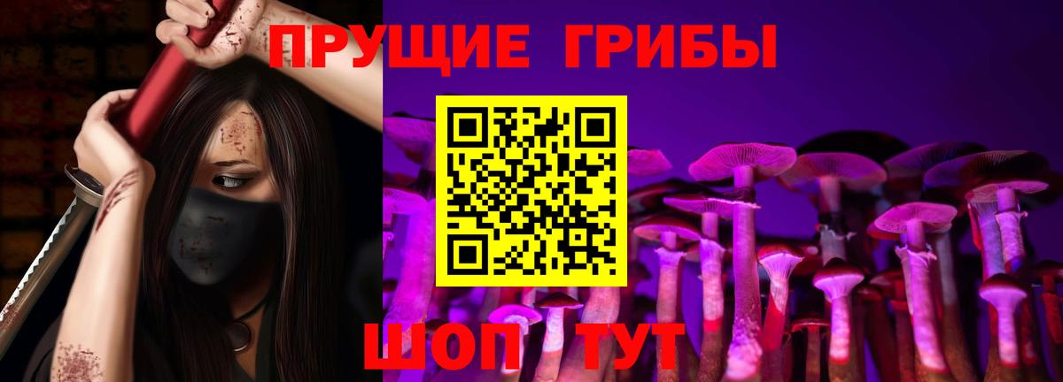 Псилоцибиновые грибы прущие грибы Ногинск